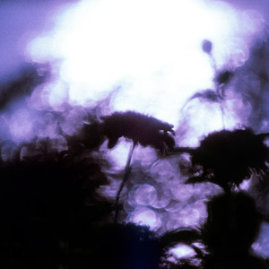 푸름과 꿈과 우리