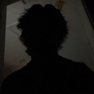 roni.exe has crashed