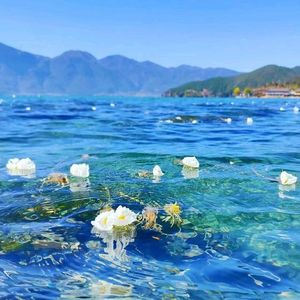 人生何处不相逢