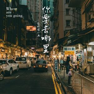你要去哪里