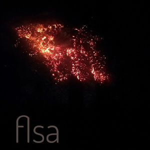 Flsa