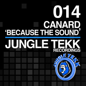 Because The Sound (Original Mix)