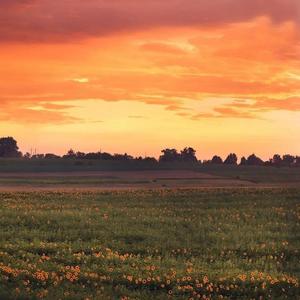 暖色的调调哟 (2)