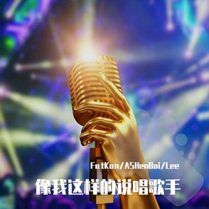 像我这样的说唱歌手