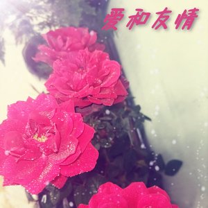 爱和友情 伴奏