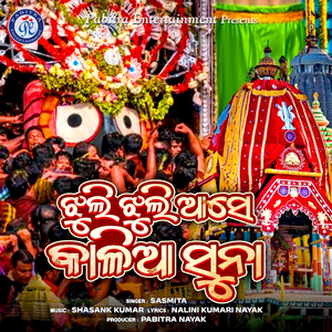 Jhuli Jhuli Ase Kalia Suna