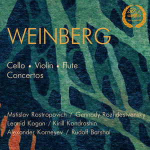 Flute Concerto in D Minor, Op. 75: II. Largo