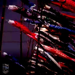 面白そうに　泳いでる