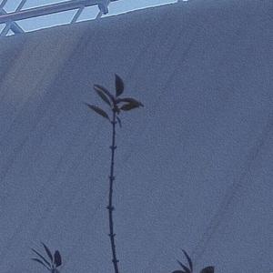 暧昧三十三天（女声完整版）