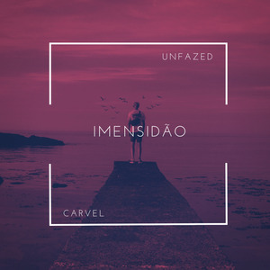 Imensidão (Unfazed Remix)