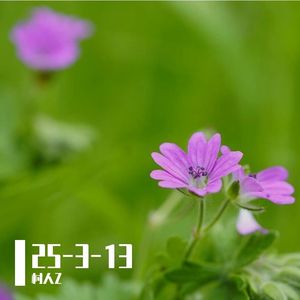 nine1229-9(inspired flavor ni