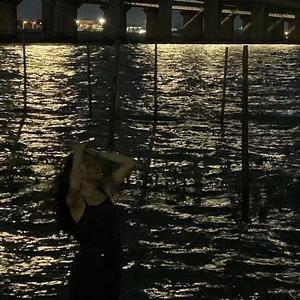 万类霜天竞自由