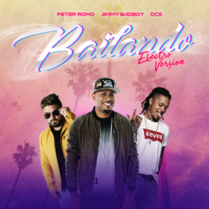 Bailando Remix (Electro Version)