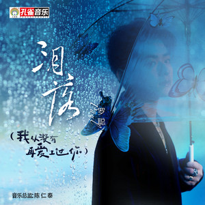 泪落 (我从没有再爱上过你)