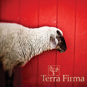Terra Firma (Radio Version)