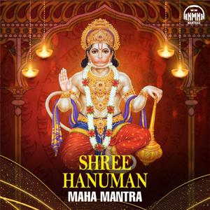 Om Hanu Hanumate Namo Namah Mantra