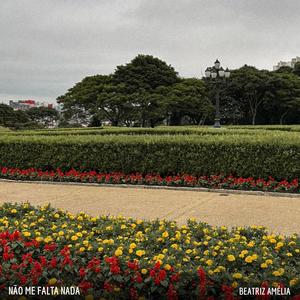 Não Me Falta Nada