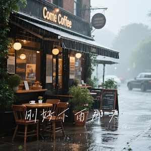 刚好下雨那天