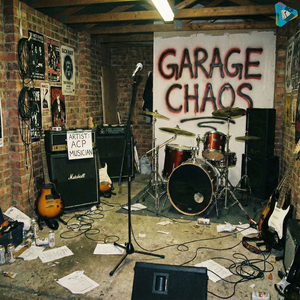 Garage Chaos