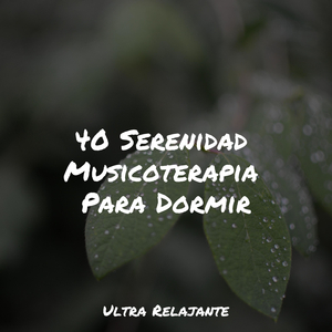 Divagando En Claridad