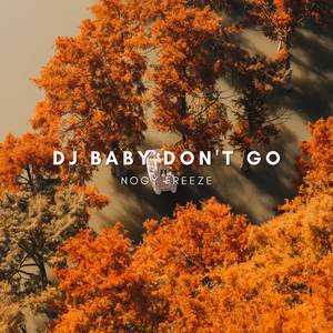 DJ Baby Don't Go
