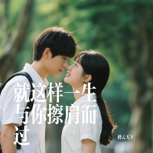 就这样一生与你擦肩而过