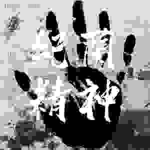 纪兰精神 (申纪兰纪念单曲)