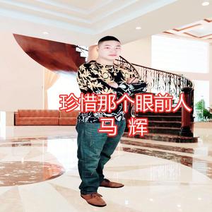 欠你一个天下(DJ版)_马辉