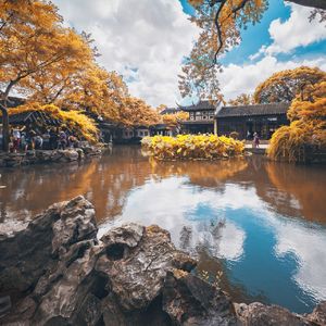 今夜秋雨敲我窗