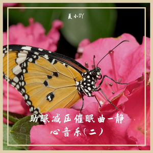 睡觉音乐 (催眠曲)