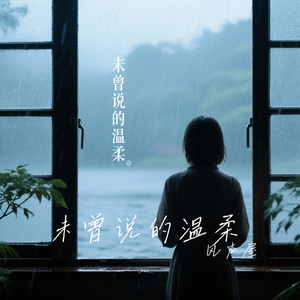 未曾说的温柔