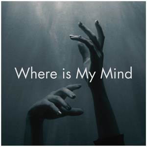 Where is My Mind (Fingerstyle Guitar)