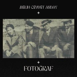 Fotoğraf (Melih Cevdet Anday)