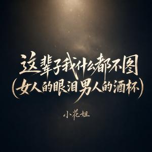 这辈子我什么都不图 (女人的眼泪男人的酒杯)