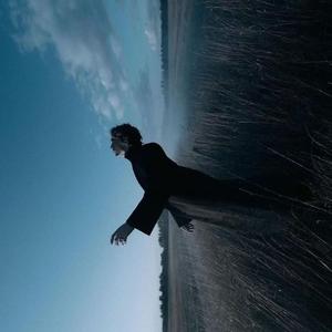 也许说我爱你，这感觉一定很假