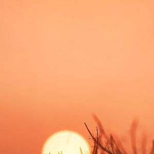 青铜古音雨幕幽