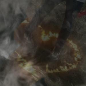 skinwalker