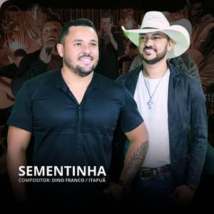 Sementinha