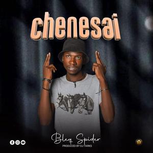 CHENESAI