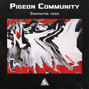 Закрытое небо