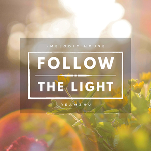 Follow The Light