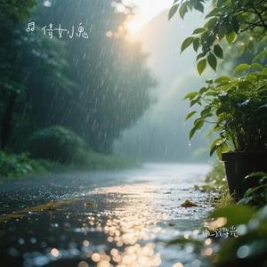 雨与微光