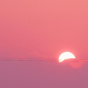 浪漫是什么 ？？Prod.TingleM