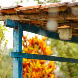 雨落城南，沧笙如梦