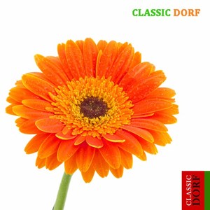 Mendelssohn : Song Without Words No.34 in C major Op.67