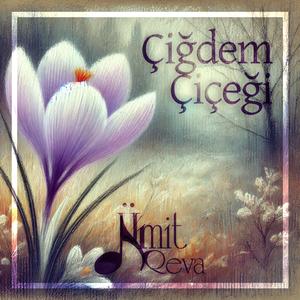 Çiğdem Çiçeği (Hüznüm Acıyor)
