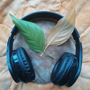 我用夏天的末笔，给秋天开了个好头