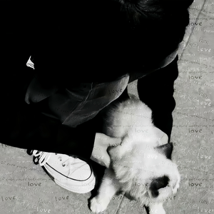 时间赢走一切，只输给想念