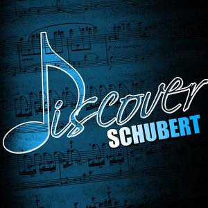 String Quartet No. 14 in D Minor, D. 810 - "Death & The Maiden": III. Scherzo