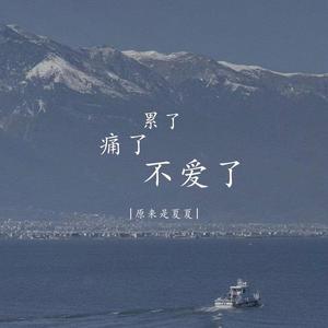 累了痛了不爱了 (DJ豪大大版)